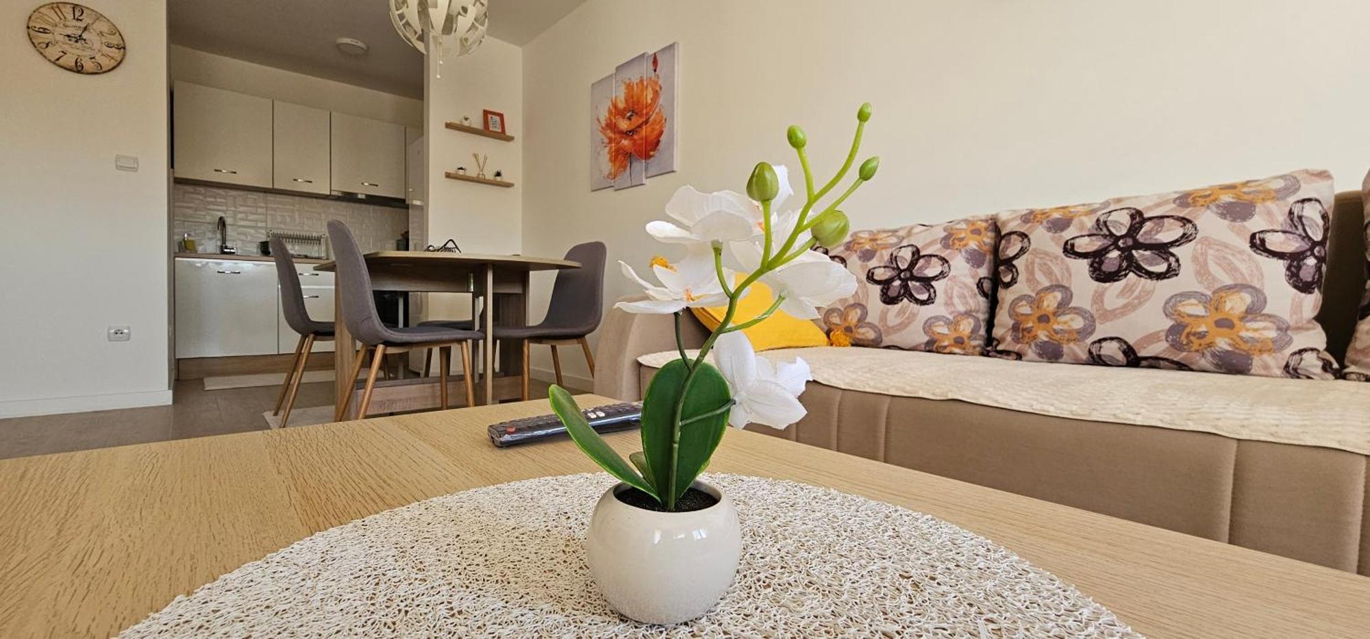 Apartman Vukota 2 Пирот Экстерьер фото