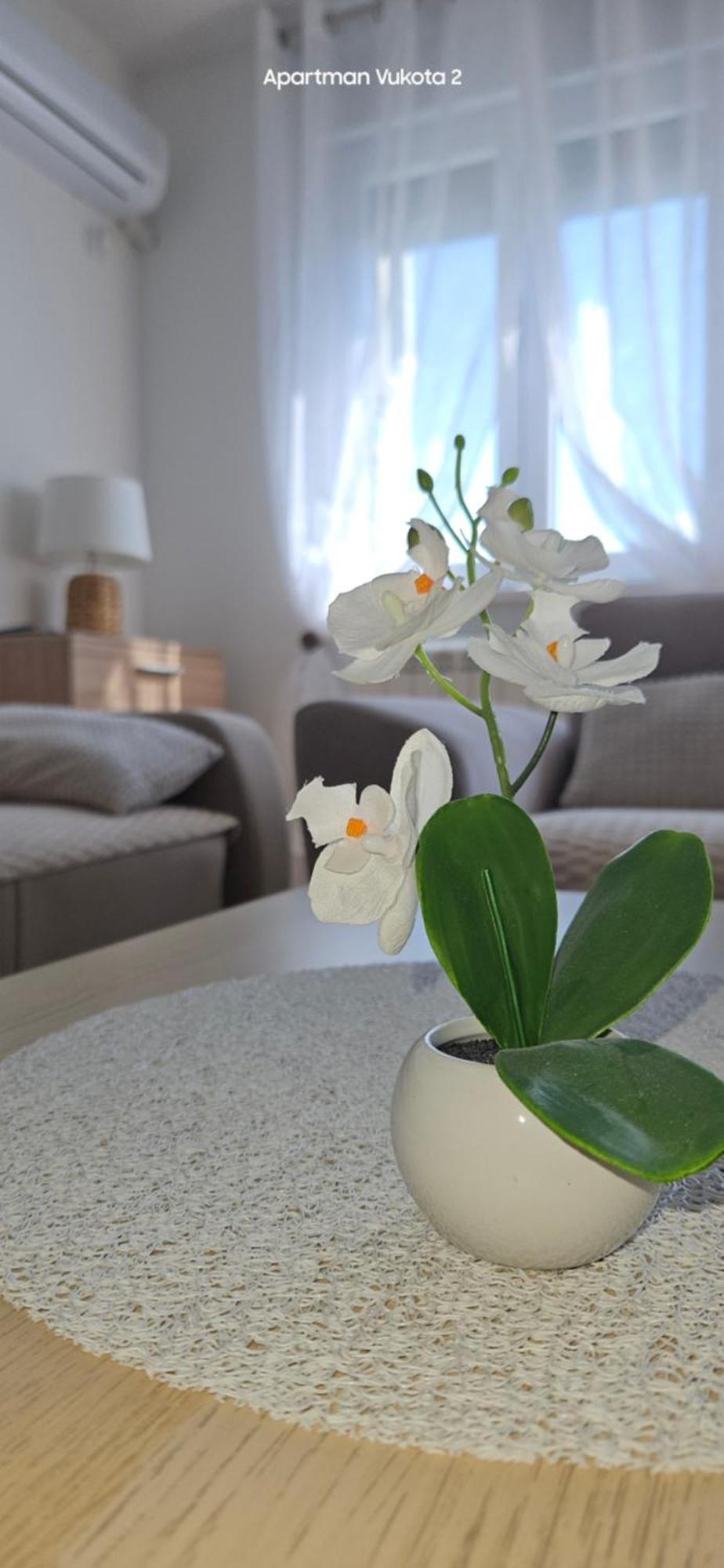 Apartman Vukota 2 Пирот Экстерьер фото